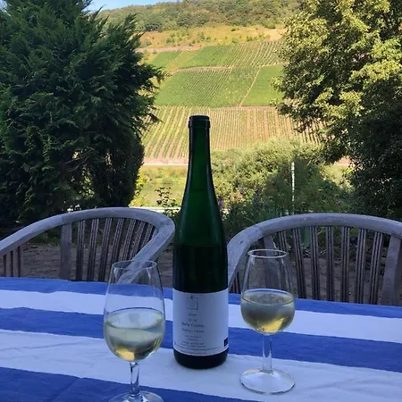 Appartement Haus Nummer 1, Moselblick Reil