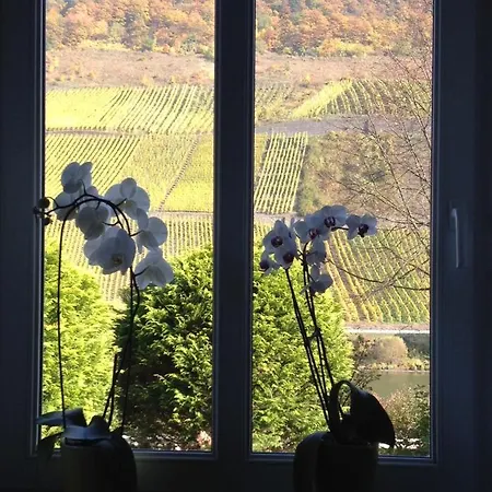 Haus Nummer 1, Moselblick Apartment Reil