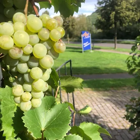 Haus Nummer 1, Moselblick Appartement *