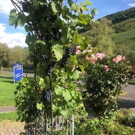 Haus Nummer 1, Mosel-view *