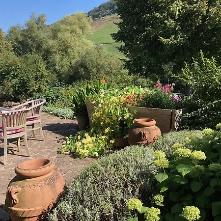 Haus Nummer 1, Mosel-view Apartment