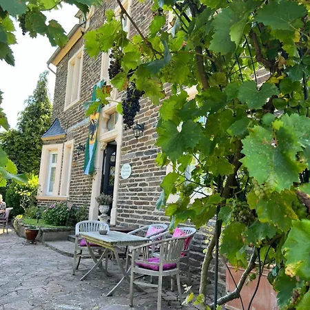 Haus Nummer 1, Moselblick 아파트