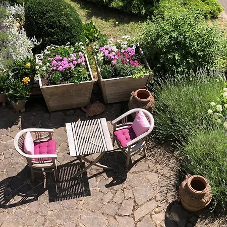 Haus Nummer 1, Mosel-view Apartment
