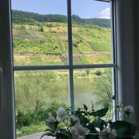 Haus Nummer 1, Mosel-view Apartment