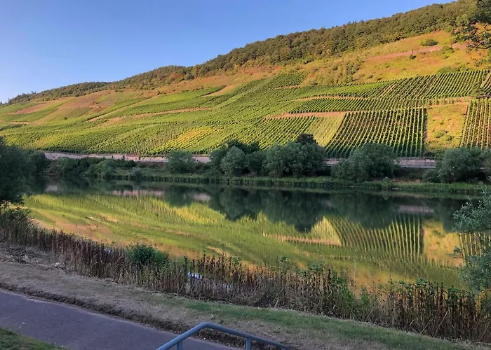 Appartamento Haus Nummer 1, Moselblick Reil