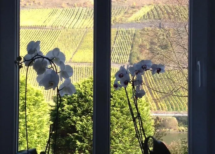 Haus Nummer 1, Moselblick Appartamento Reil