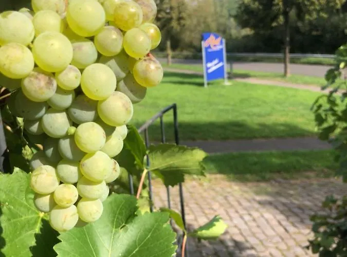 Haus Nummer 1, Moselblick Appartamento *