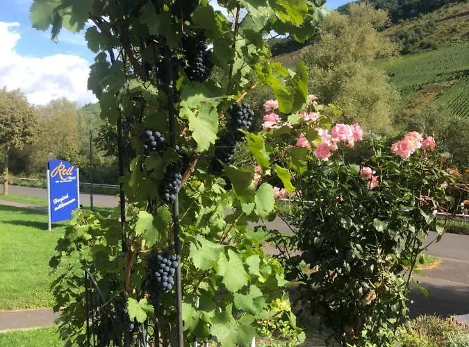 Haus Nummer 1, Moselblick *