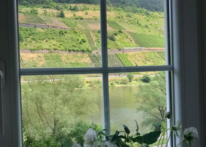 Haus Nummer 1, Moselblick 아파트